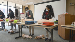 Five students practice CPR on mannequins