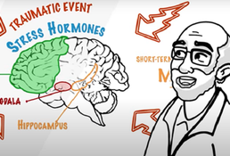 An illustration of a person looking at a brain