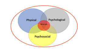 three circles overlapping with one circle in middle Veteran, other circles Physical Psychological Psychosocial