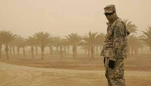 A soldier stands before palm trees with his hands in his pocket during a sand storm in the desert
