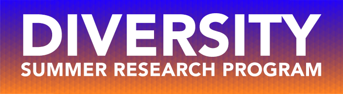 Diversity Summer Research Program Banner