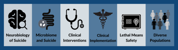 Selected research focus areas