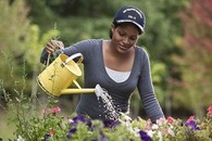 A Veteran watering plants in a garden 