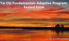 Tai Chi Fundamentals Adaptive Program: Seated Form