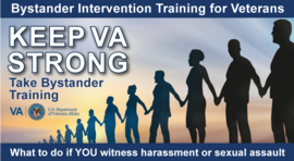 Bystander Intervention Training for Veterans