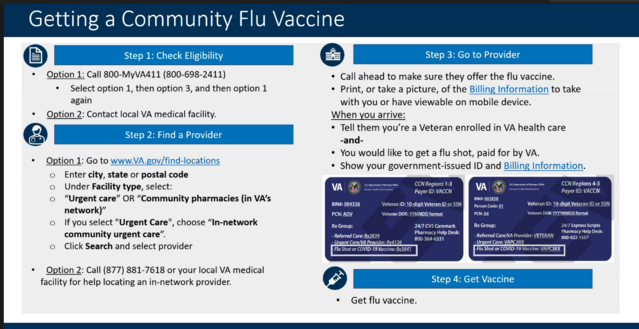Getting a Community Flu Vaccine