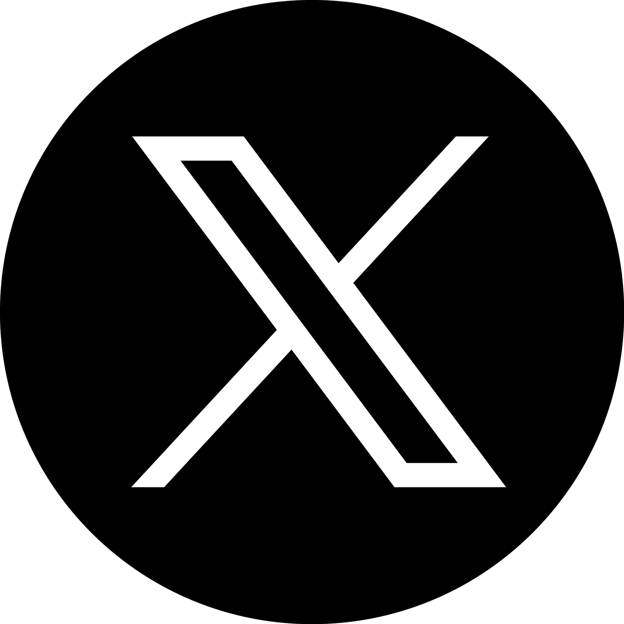 X Icon