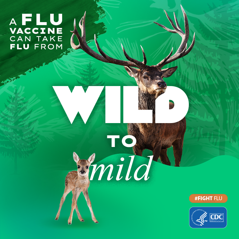 Flu Vaccine Wild to Mild 2023