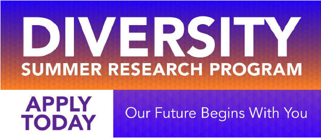 Diversity Summer Research Program - Apply Today - Our Future Begins with You