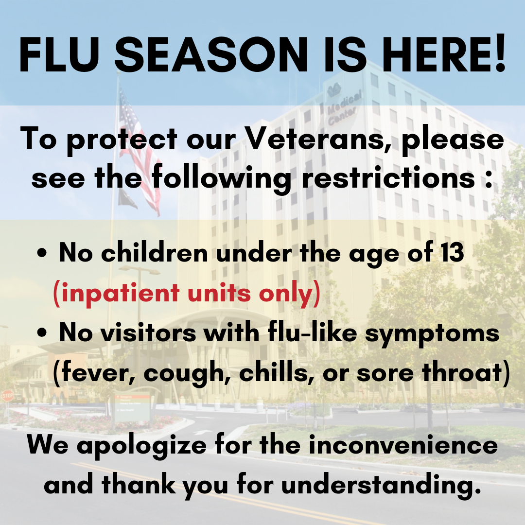 Flu Visitation