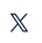X (Twitter) Icon