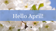 A close up of small white flowers on a shrub is overlaid with a light blue banner and white text reading "Hello April!"