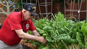 Veteran gardening 