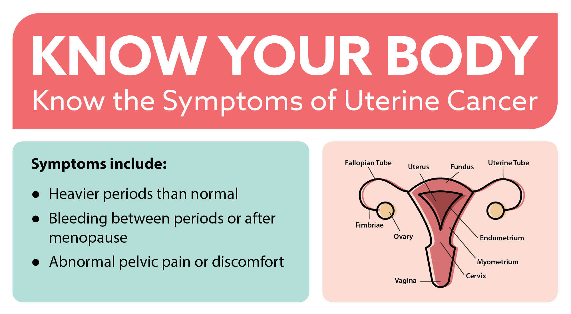 Know your body. Know the symptoms of uterine cancer. Illustrated diagram of a uterus.