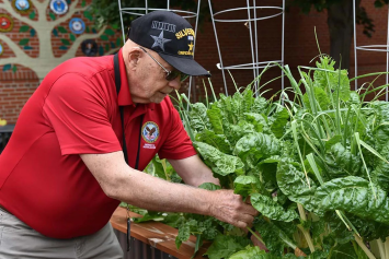 A Veteran tends to a plant. 