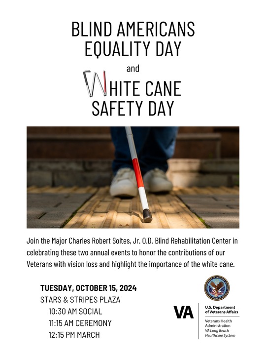 White cane for vision impaired 