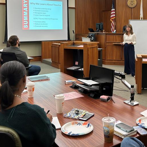 Woman presenting in front of a screen in a courtroom