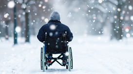 Person in a wheelchair enjoying the winter scene.