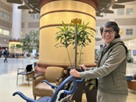 person pushing wheelchair