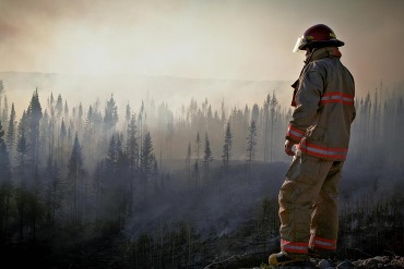 Firefighter looking at wildfire damage