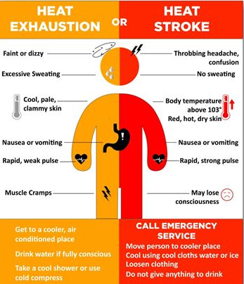 Heat Exhaustion symptoms