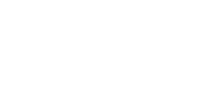 MHV on VA.gov Logo with URL