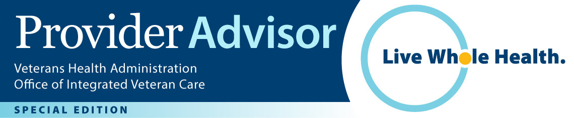 V A Provider Advisor, Whole Health issue