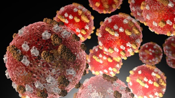 Close-up 3D illustration of red virus particles.
