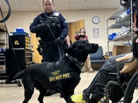 K9 handler with black lab locating a missing person during a drill