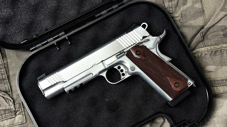 handgun in gun safe