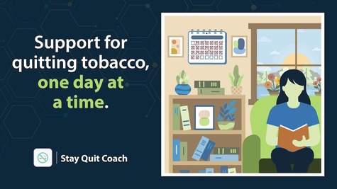 Stay Quit Coach app