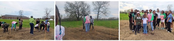 Tree Planting