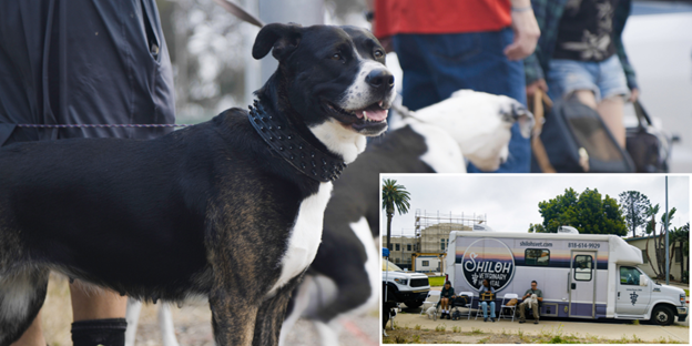 Free Mobile Vet Clinic Comes to Campus 