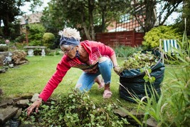Woman Weeding a Garden