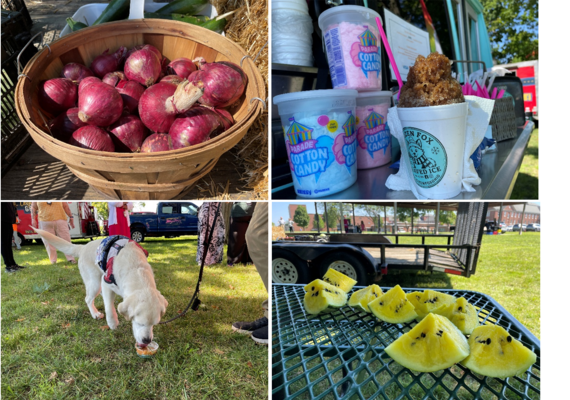 Farmers Mkt