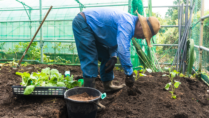 man hinging forward while working in garden