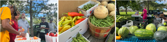 Farmers Market