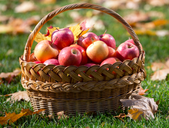Apples