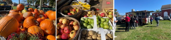 Farmers market