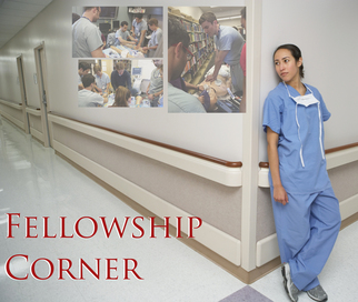 fellowship graphic 6