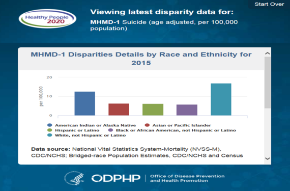 HHS Disparities Widget