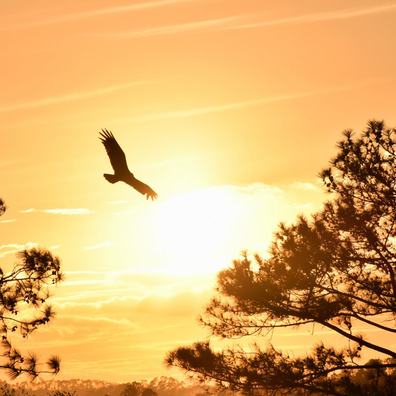 Native American Heritage Month