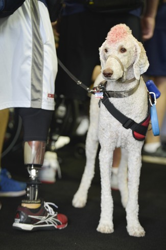 Navy Wounded Warrior