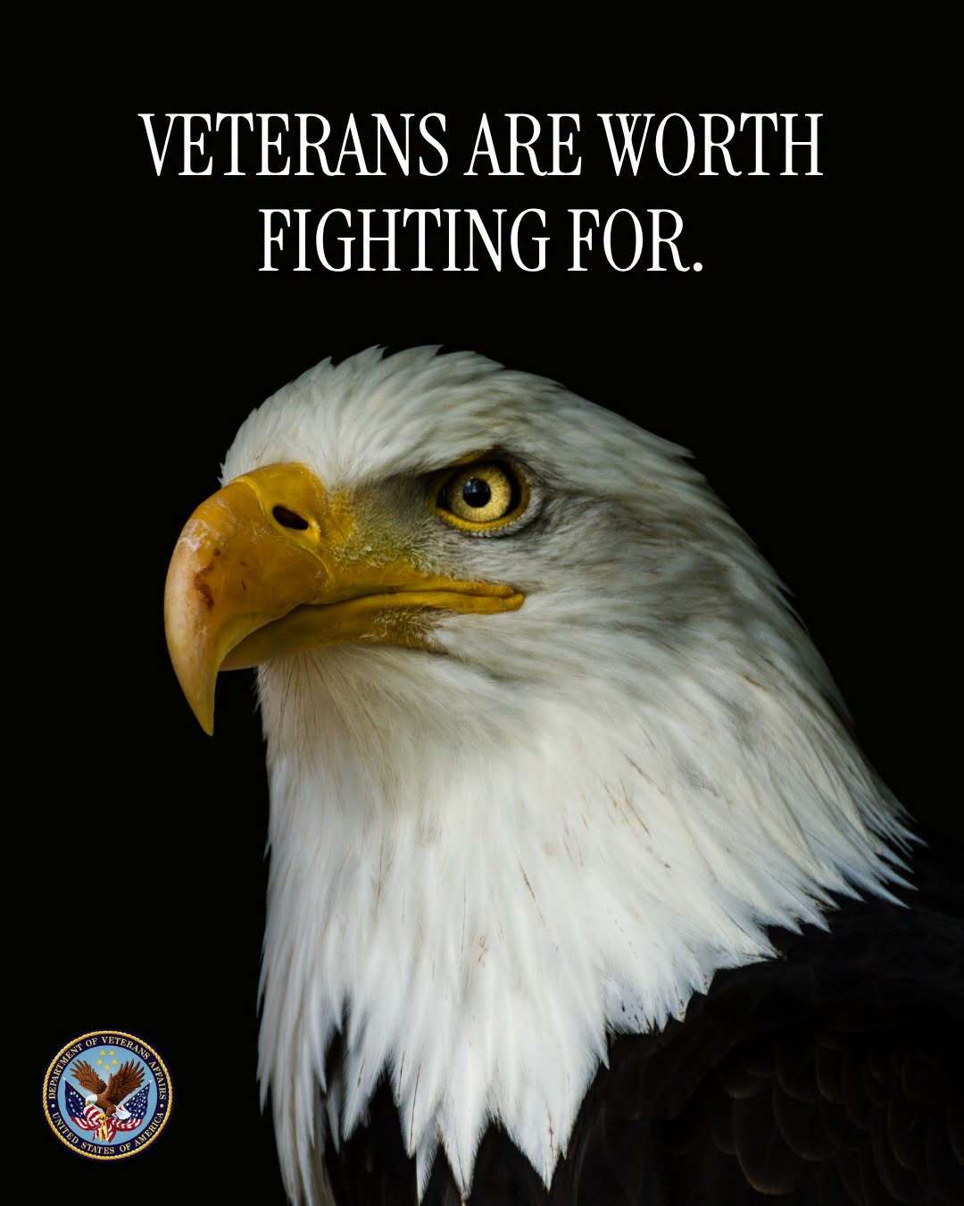 Veterans