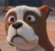 Sgt STubby