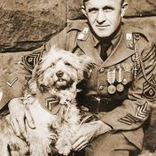 Rags was a mixed breed terrier who served with the U.S. 1st Infantry Division in WW1