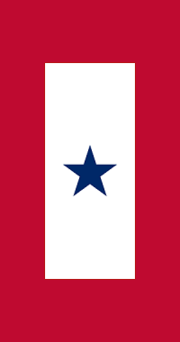 Service Banner