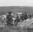 Illinois and Australian soldiers at Hamel