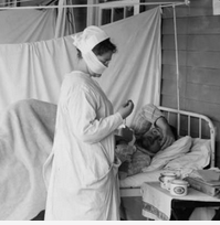 Influenza nurse Walter Reed