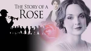 story of a rose